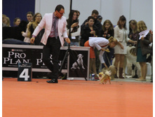 1-IMG_6511.JPG