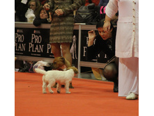 1-IMG_6525.JPG