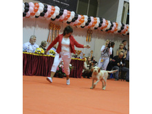 1-IMG_6526.JPG