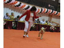 1-IMG_6527.JPG