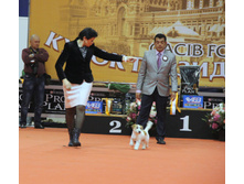 1-IMG_6531.JPG