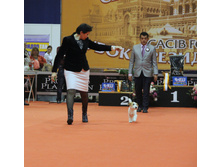 1-IMG_6532.JPG