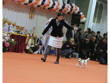 1-IMG_6535.JPG