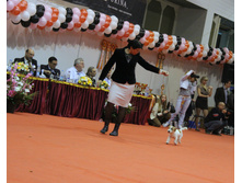 1-IMG_6536.JPG