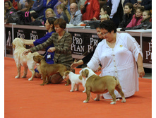 1-IMG_6541.JPG