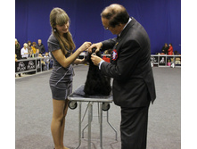 1-IMG_6560.JPG