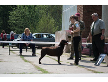 66182421-dhwaliry9s8.jpg