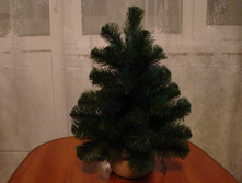 DSC07095.JPG