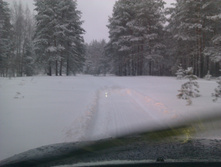 imag0633.jpg