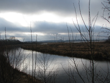 IMG_3205.JPG