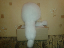 20131108_235807.jpg