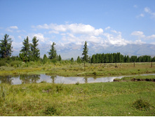 DSC07695.JPG