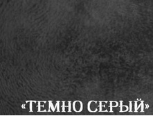 temser.jpg