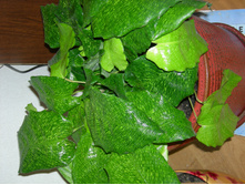 DSCN8208.JPG