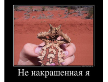 92984794_ne-nakrashennaya-ya.jpg