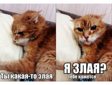 Tp_p8MbYYUY.jpg