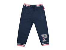 Z13-120102-SUF.png
