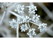 Winter 5.jpg