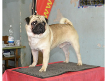 DSC_058000.jpg