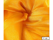 Snow organza-46.jpg