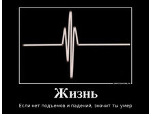 71636919_zhizn.png