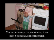 20131807113901_0.jpg