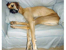 ������� �������.jpg