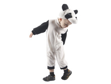 103 025 Panda.jpg