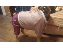 20131123_175733.jpg