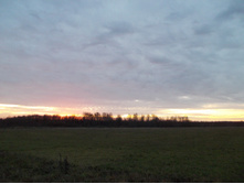 DSCN4128.JPG