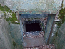 DSCN4142.JPG