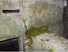 DSCN4143.JPG