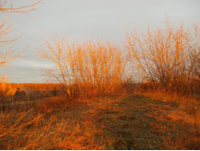 DSCN4150.JPG