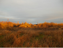 DSCN4161.JPG