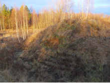 DSCN4162.JPG