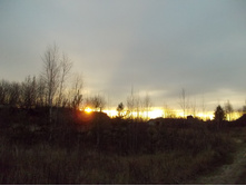 DSCN4165.JPG