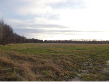 DSCN4172.JPG