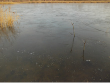 DSCN4179.JPG