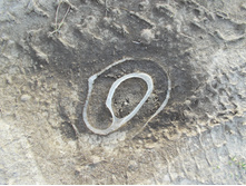 DSCN4180.JPG