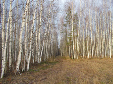 DSCN4182.JPG