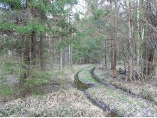 DSCN4183.JPG