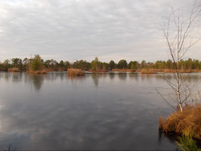 DSCN4185.JPG