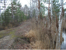 DSCN4216.JPG