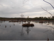 DSCN4219.JPG