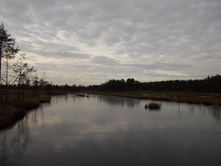 DSCN4223.JPG