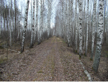DSCN4225.JPG