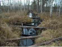 DSCN4226.JPG