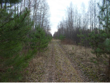 DSCN4228.JPG