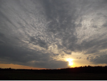 DSCN4231.JPG