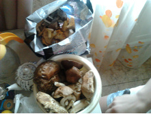 ����0048.jpg